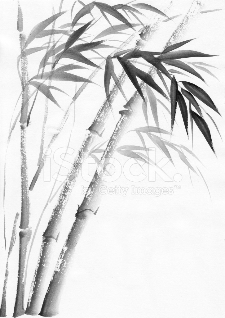 726x1024 Watercolor Painting Of Bamboo Stock Vector - Bamboo Watercolor Painting