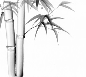 279x250 Watercolor Painting Of Bamboo Original Art, Watercolor - Bamboo Watercolor Painting