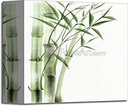 425x354 Bamboo Watercolor Painting Gallery Wrapped Canvas Art - Bamboo Watercolor Painting
