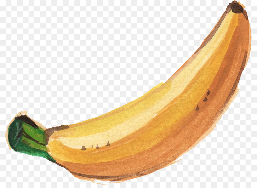 900x660 Banana Leaf Watercolor Painting - Banana Leaf Watercolor