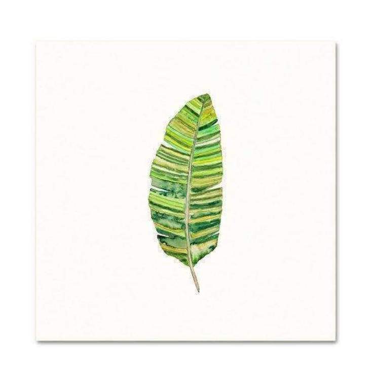 740x740 Hart Amp Hess - Banana Leaf Watercolor