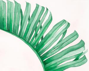 300x241 Pink Banana Leaf - Banana Leaf Watercolor