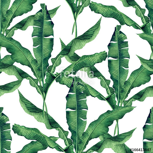 500x500 Watercolor Painting Green,banana Leaves Seamless Pattern On White - Banana Leaf Watercolor