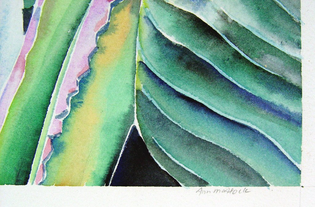 1024x674 Banana Tree Watercolor By Ann Matlock Artifax Antiques Amp Design - Banana Tree Watercolor