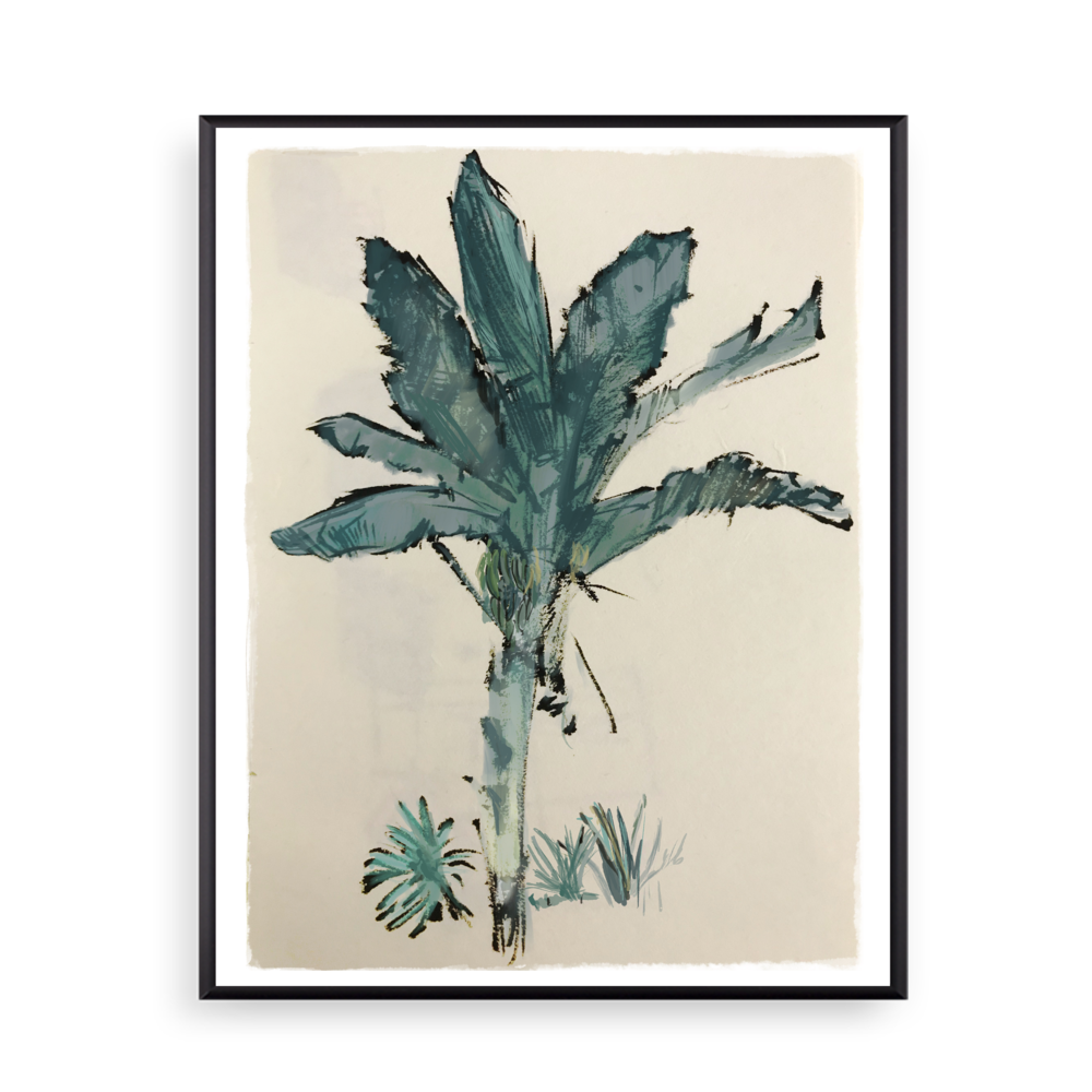 1000x1000 Banana Tree Rylander Co. - Banana Tree Watercolor