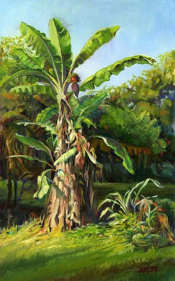 562x900 Similiar Banana Trees Watercolor Keywords - Banana Tree Watercolor