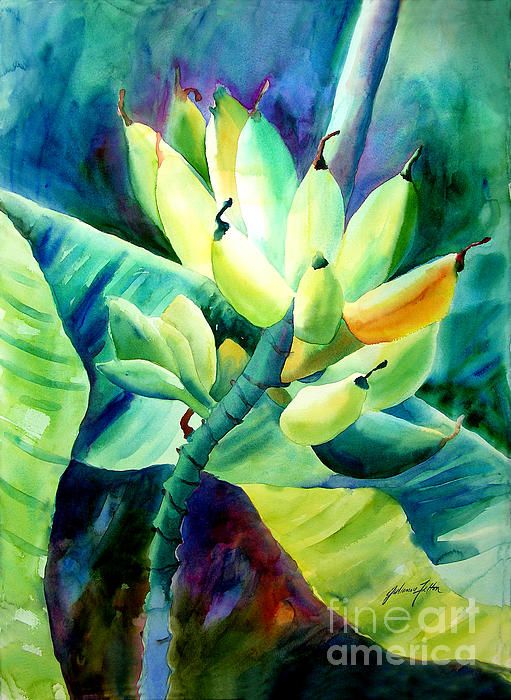 511x700 Watercolor Painting Of Tropical Banana Tree. Art, Gifts, Plants - Banana Tree Watercolor