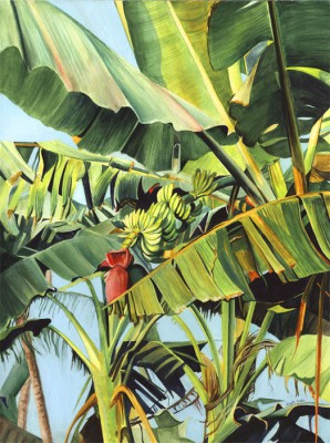 298x400 Banana Tree Paintings By Linda Curtis - Banana Tree Watercolor