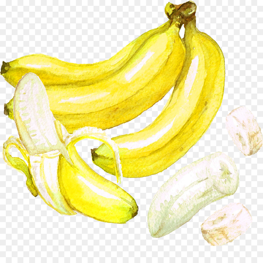 900x900 Beer Banana Watercolor Painting - Banana Watercolor