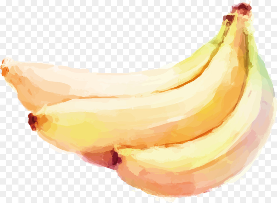 900x660 Download Watercolor Painting Auglis Banana Vegetable Banana - Banana Watercolor