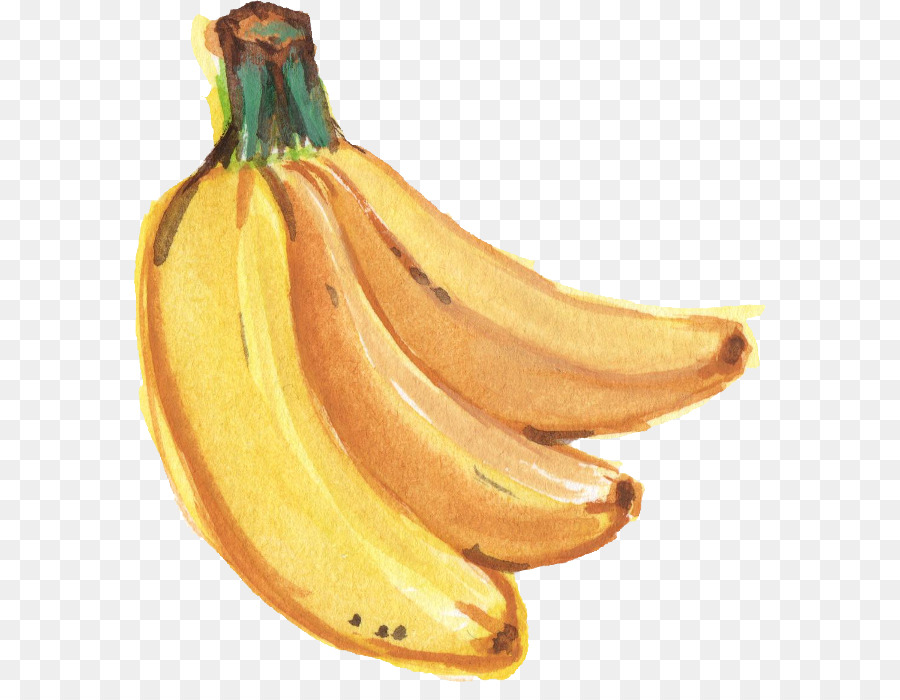 900x700 Saba Banana Watercolor Painting - Banana Watercolor
