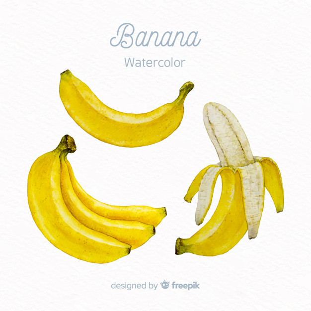 626x626 Watercolor Banana Vector Free Download - Banana Watercolor