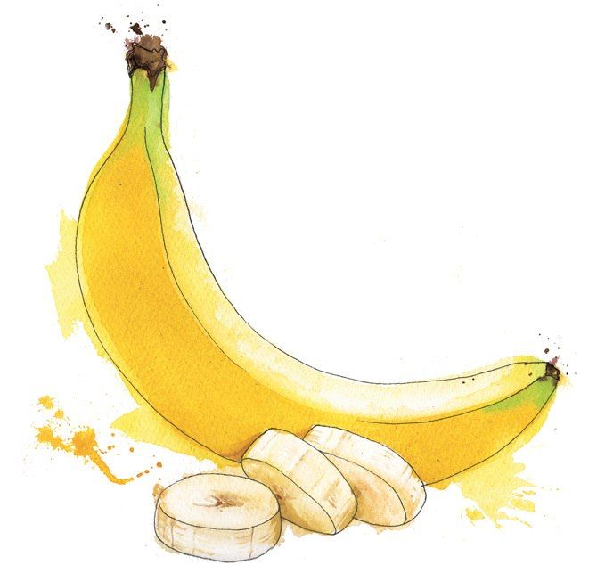 670x643 Banan, Banana, Watercolor Nature D Bananas - Banana Watercolor
