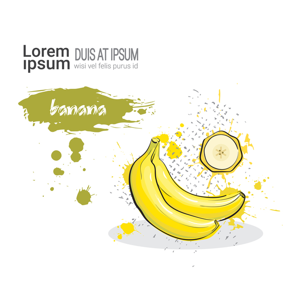 600x600 Banana Watercolor Drawn Vector - Banana Watercolor