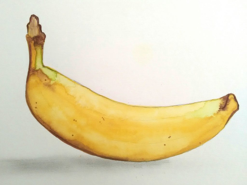 1024x768 Banana (Watercolor) By Hallward Art - Banana Watercolor