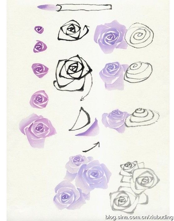 555x705 Hand Painted Techniques 2 Doodles,drawing,coloring, Painting - Basic Watercolor Flowers