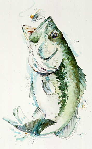 355x575 Naturewildlife - Bass Watercolor
