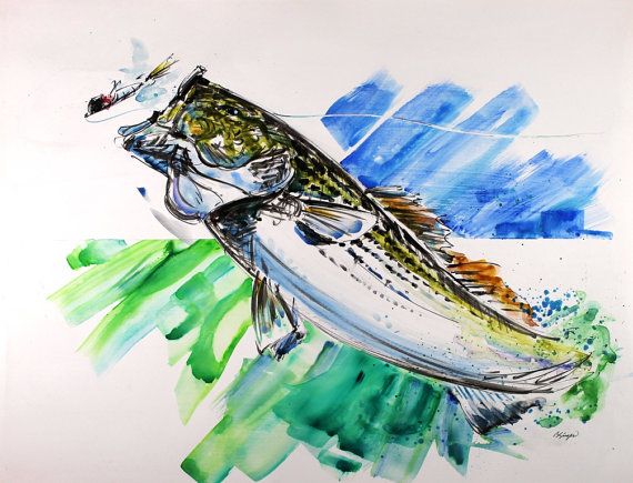 570x435 Original Watercolor Painting Striped Bass Extra Large 22x28 New - Bass Watercolor