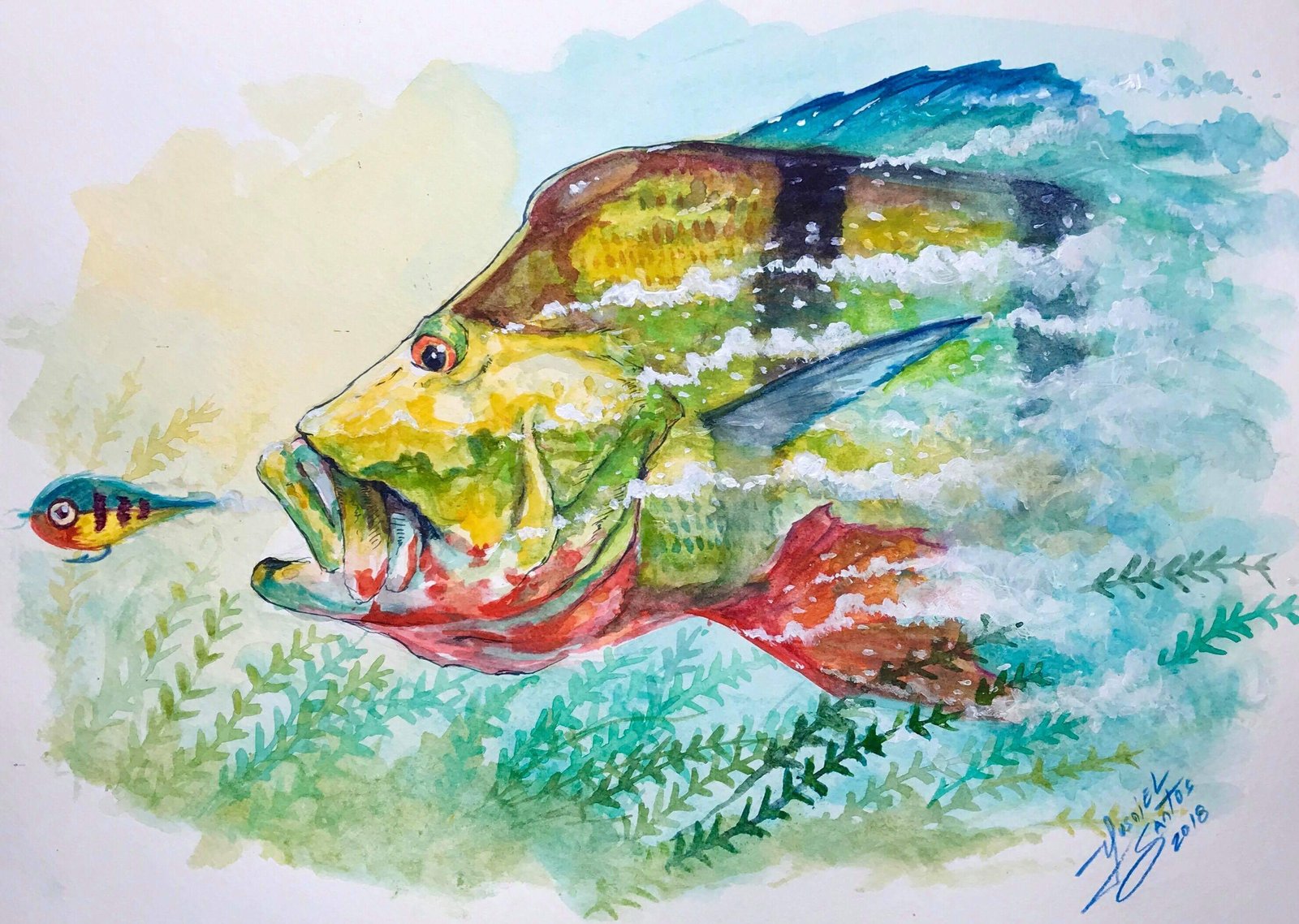 1600x1138 Peacock Bass Yusniel Santos - Bass Watercolor