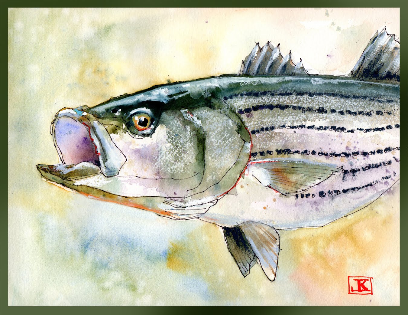 1350x1041 Drawing Flies 365 Drawing Fish 52 28 Stripped Bass - Bass Watercolor