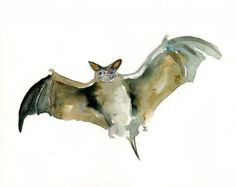 236x187 Watercolor Paintings Of Incan Ruins Of Machu Picchu Peru - Bat Watercolor