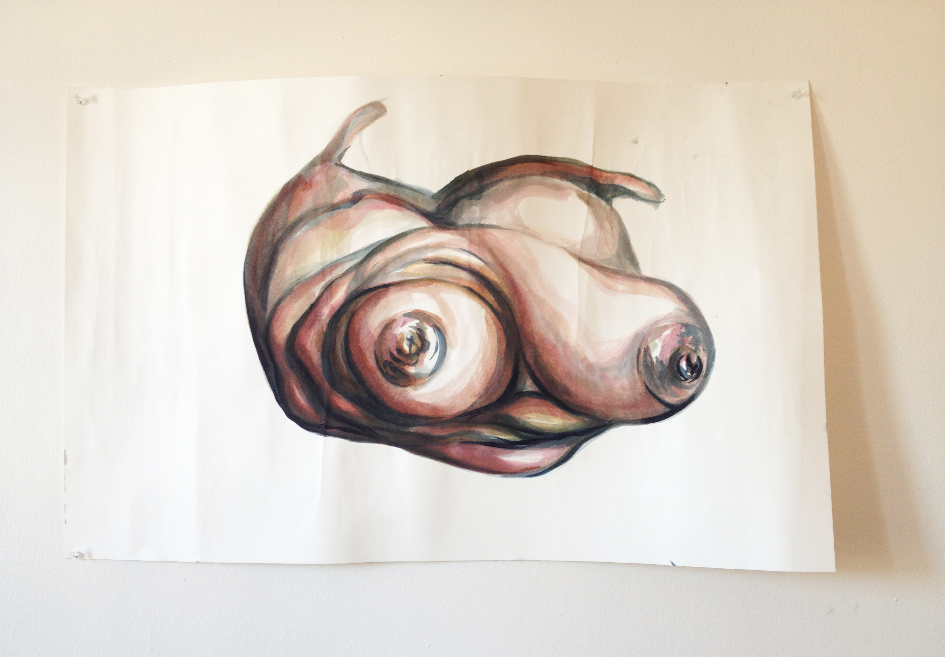 3264x2269 Watercolor Bat Ami Rivlin - Bat Watercolor