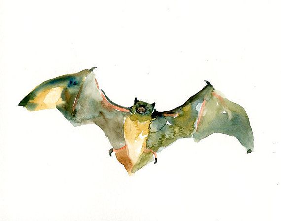 570x448 Bat Original Watercolor Painting 10x8inch Bats - Bat Watercolor