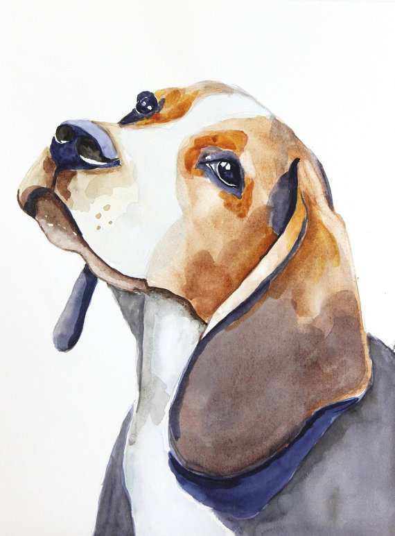 570x773 Dog Painting Elegant Beagle Original Watercolor Painting Dog - Beagle Watercolor
