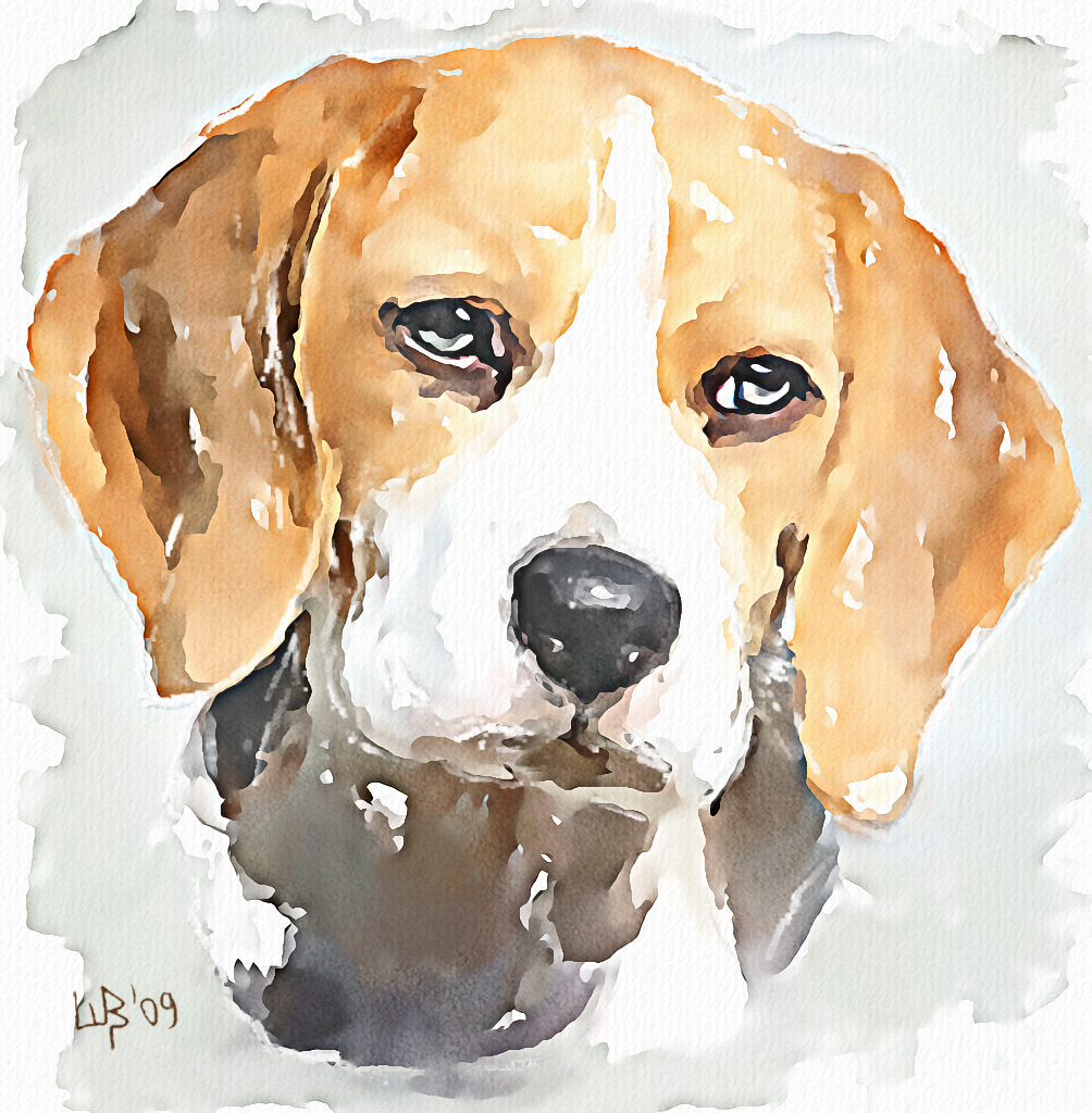 1004x1024 The Beagle Digital Watercolor. Original Photo - Beagle Watercolor