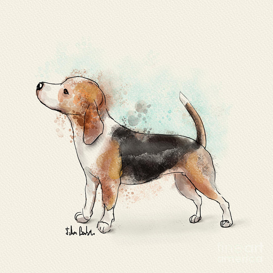 900x900 Watercolor Drawing Of A Cute Beagle Digital Art By Idan Badishi - Beagle Watercolor