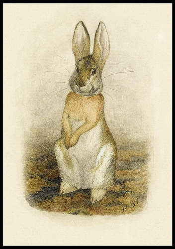 352x500 Bibliodyssey Beatrix Potter Rarities - Beatrix Potter Watercolor