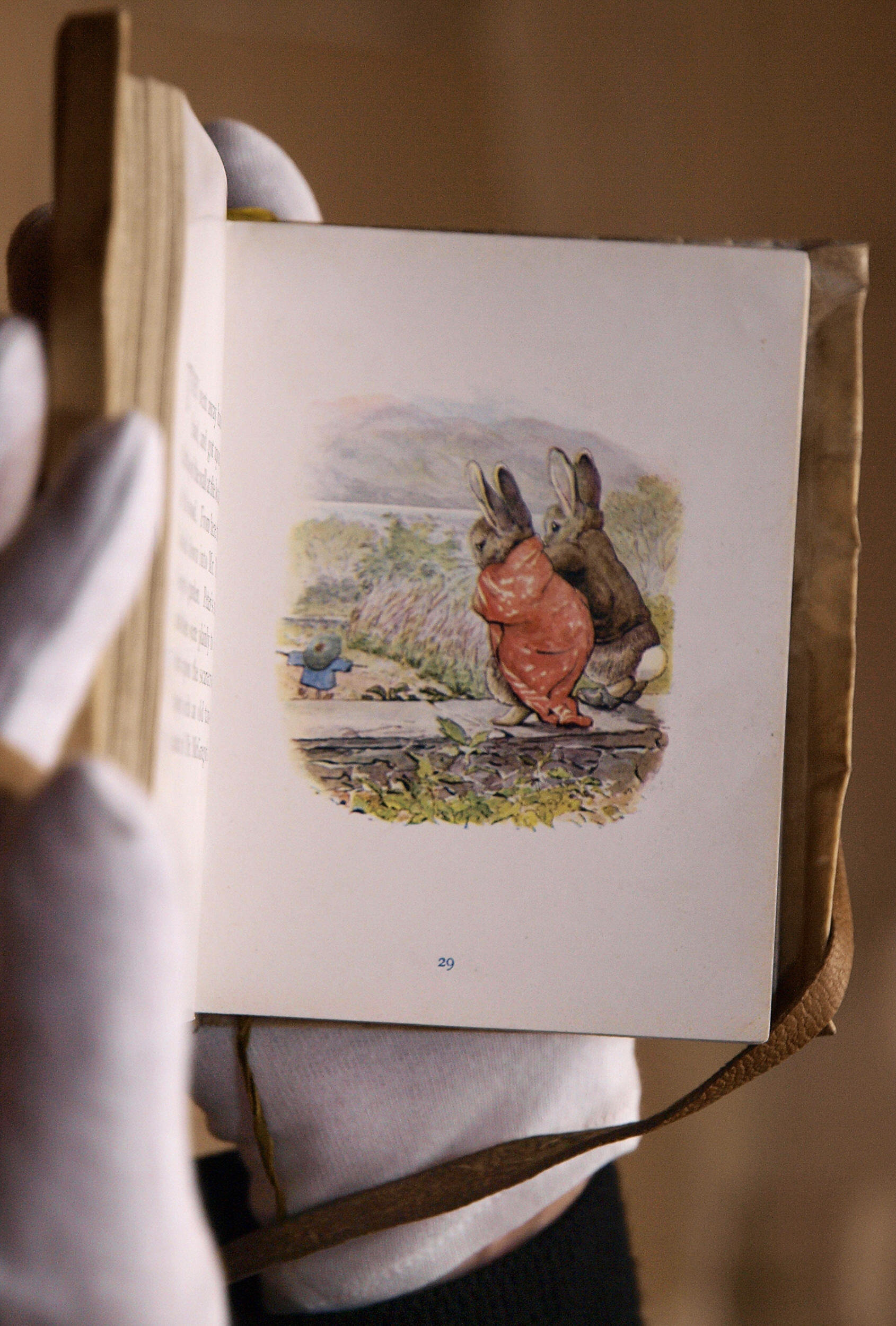 1690x2500 Rare Beatrix Potter Illustrations Are Just Too Adorbs For This - Beatrix Potter Watercolor