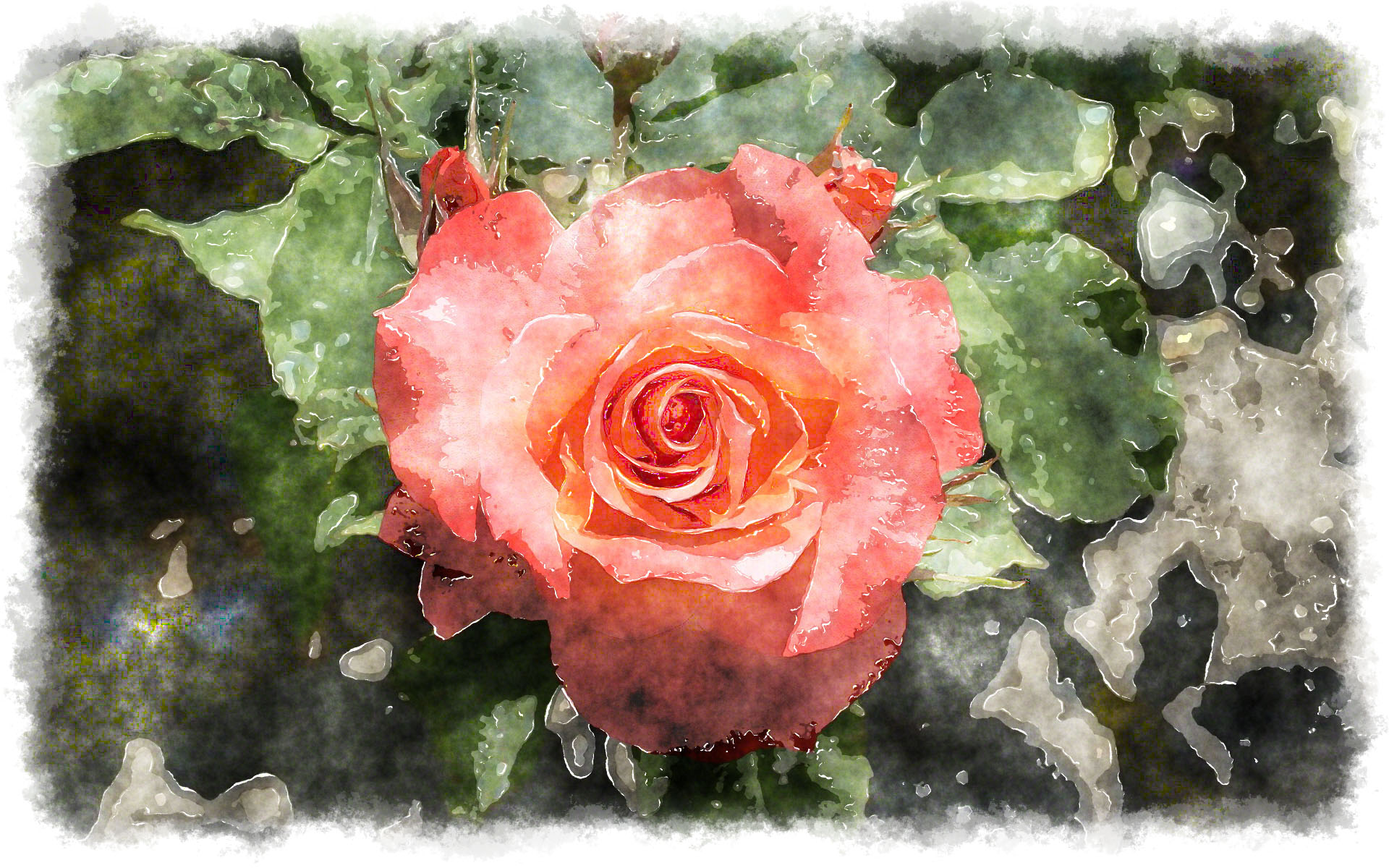 1920x1200 Beautiful Watercolor Rose - Beautiful Watercolor