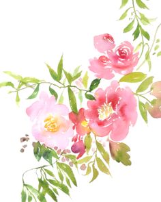 Beautiful Watercolor Flowers