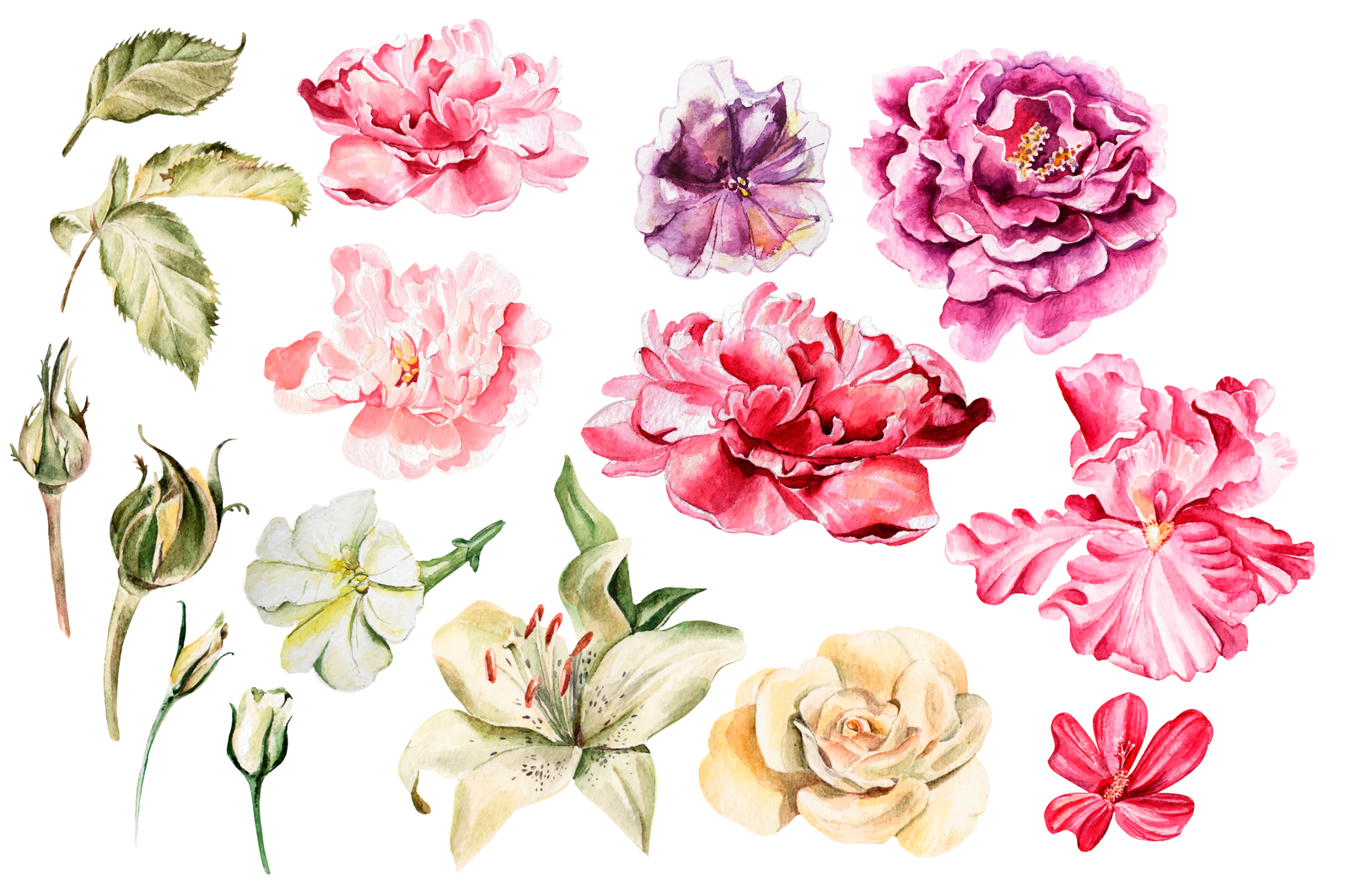 1600x1064 Beautiful Watercolor Flowers In Illustrations On Yellow Images - Beautiful Watercolor Flowers