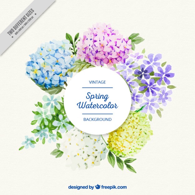 626x626 Beautiful Watercolor Flowers Label Vector Free Download - Beautiful Watercolor Flowers