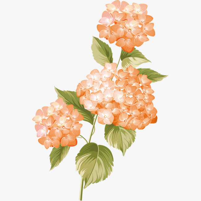 650x650 Fresh And Beautiful Watercolor Yellow Flowers, Watercolor Clipart - Beautiful Watercolor Flowers