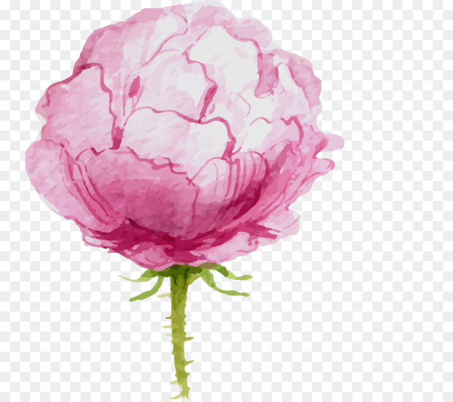 900x800 Watercolor Flowers Watercolor Painting Oil Painting Canvas - Beautiful Watercolor Flowers