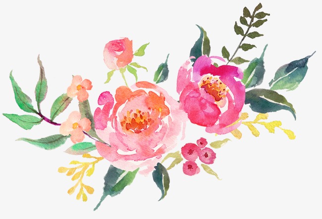 650x443 Beautiful Fresh Flowers Watercolor, Watercolor Clipart, Watercolor - Beautiful Watercolor Flowers