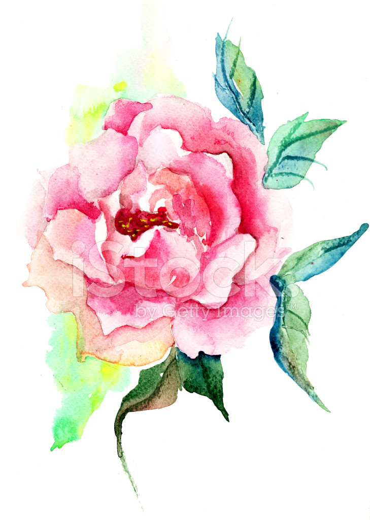 729x1024 Beautiful Roses Flowers, Watercolor Painting Stock Vector - Beautiful Watercolor Flowers
