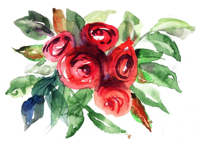 800x561 Beautiful Roses Flowers, Watercolor Painting Stock Photo Colourbox - Beautiful Watercolor Flowers