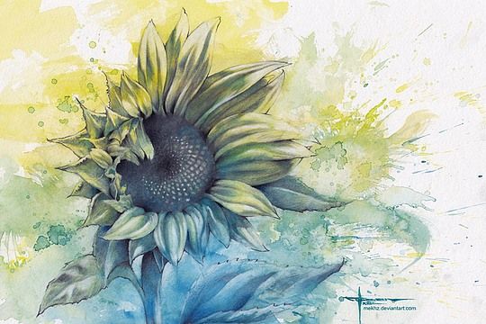 540x360 Beautiful Watercolor Paintings By Mekhz Flowers - Beautiful Watercolor Paintings