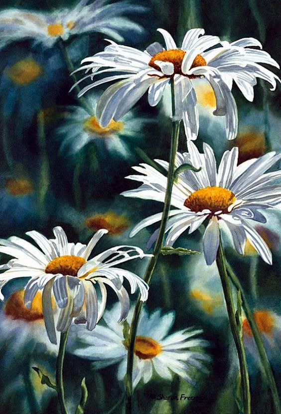 564x831 19 Incredibly Beautiful Watercolor Painting Ideas - Beautiful Watercolor Paintings