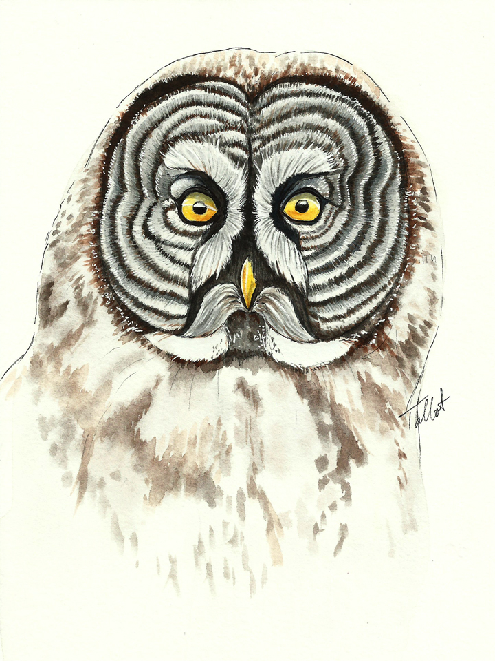 720x960 Bee Watercolor Paper - Bee Watercolor Paper