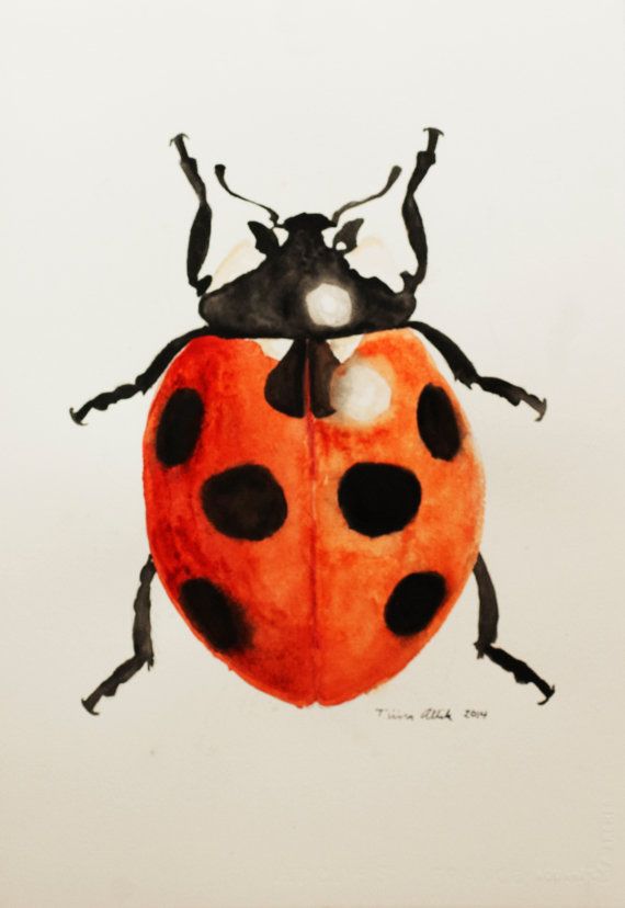 570x828 Ladybug Beetle Insect Watercolor Painting Nursery Art Original - Beetle Watercolor
