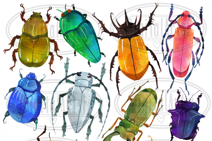720x479 Watercolor Beetle Clipart By Digitalartsi - Beetle Watercolor