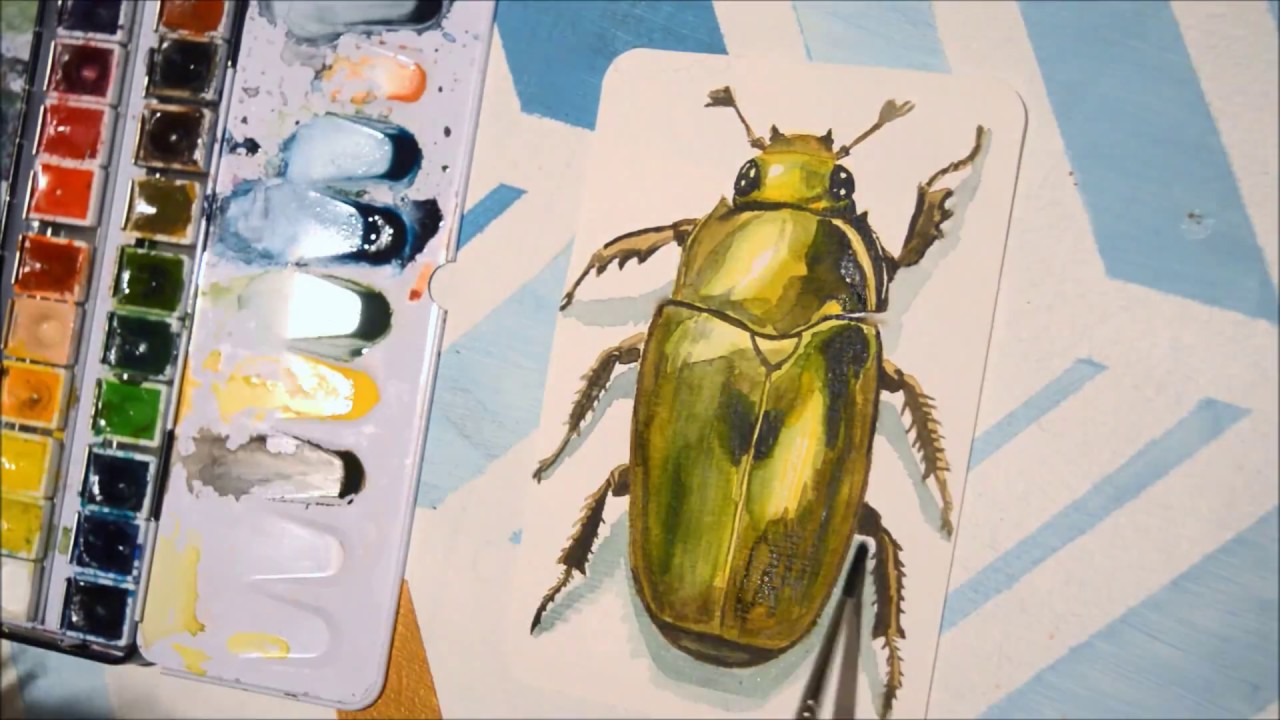 1280x720 Watercolor Speed Painting 'Chrysina Boucardi ' Beetle Series - Beetle Watercolor