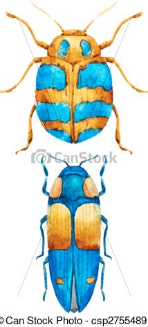 214x470 Watercolor Bug Beetle. Beautiful Vector Image With Nice Watercolor - Beetle Watercolor