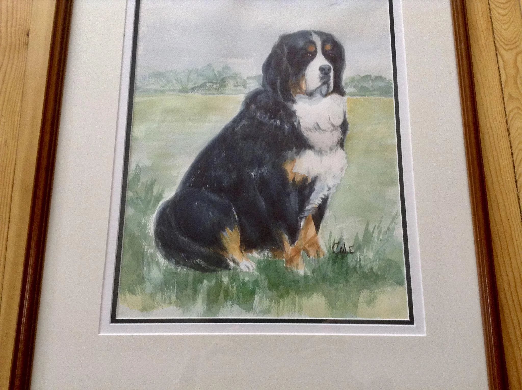 2048x1530 Bernese Mountain Dog In A Field Watercolor Painting Signed By - Bernese Mountain Dog Watercolor