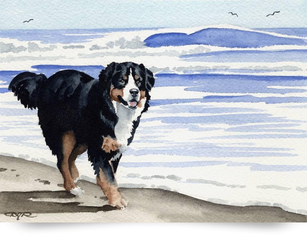 1000x767 Bernese Mountain Dog Paintingwatercolor Contemporary - Bernese Mountain Dog Watercolor